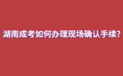 湖南成人高考如何办理现场确认手续?