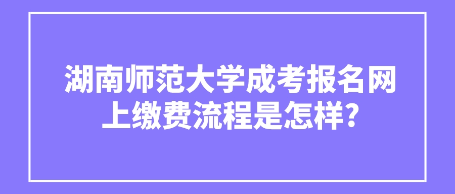 湖南师范大学成考报名网上缴费流程是怎样?(图3)