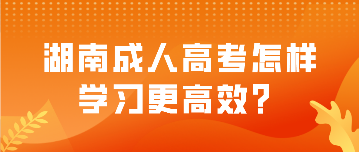 湖南成人高考怎样学习更高效？超多干货都在这！