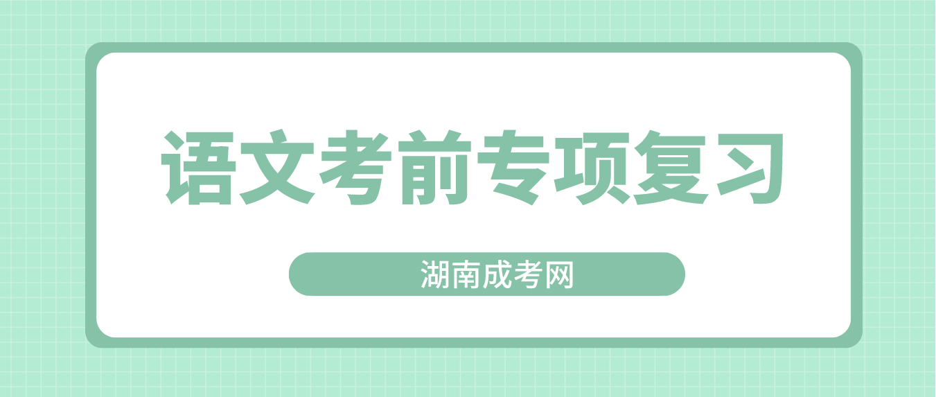 2023年湖南成人高考高起点语文考前专项复习(图3)