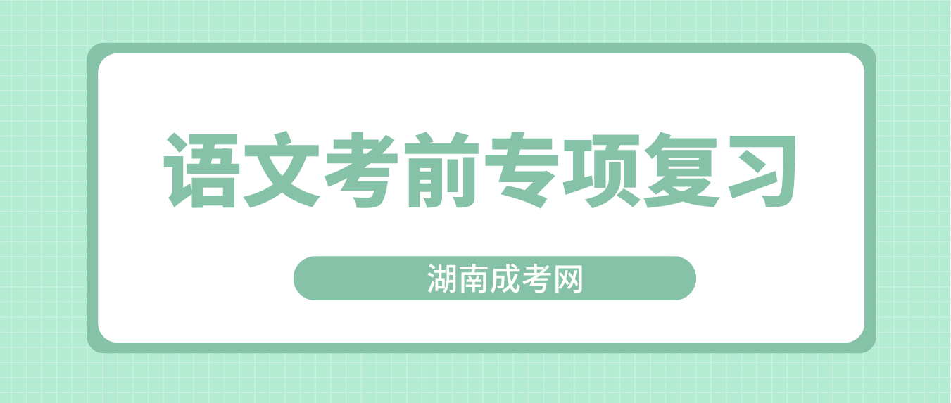 2023年湖南成人高考高起点语文考前专项复习