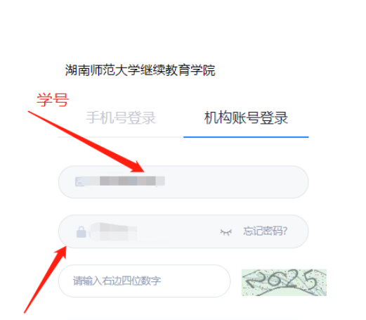 2025年湖南师范大学高等学历继续教育本科生学学士位外语水平考试报名流程(图2)